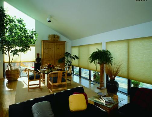 Model 9600 with Cellular Shades